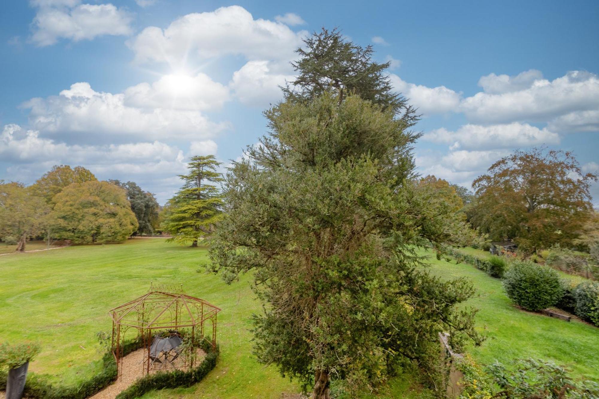 Hotel Chateau De Didonne Sémussac 外观 照片