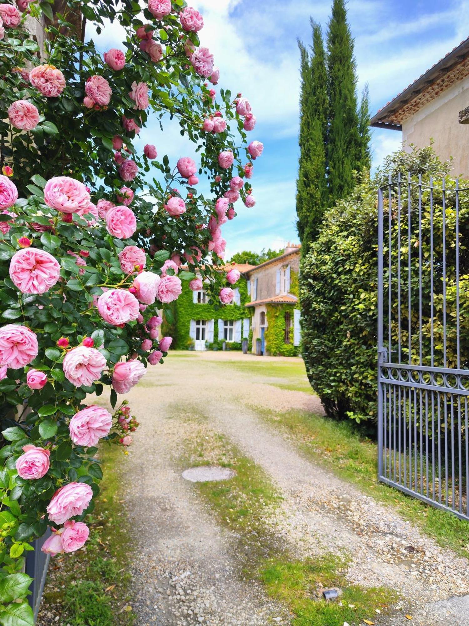 Hotel Chateau De Didonne Sémussac 外观 照片